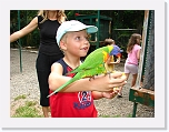 Bird Feeding (9) * 1024 x 768 * (139KB)
